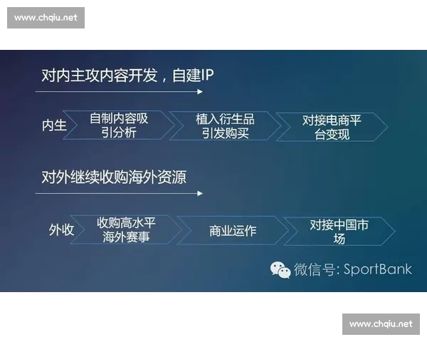 打造权威专业互动并重内容服务领先的体育综合门户网站新生态